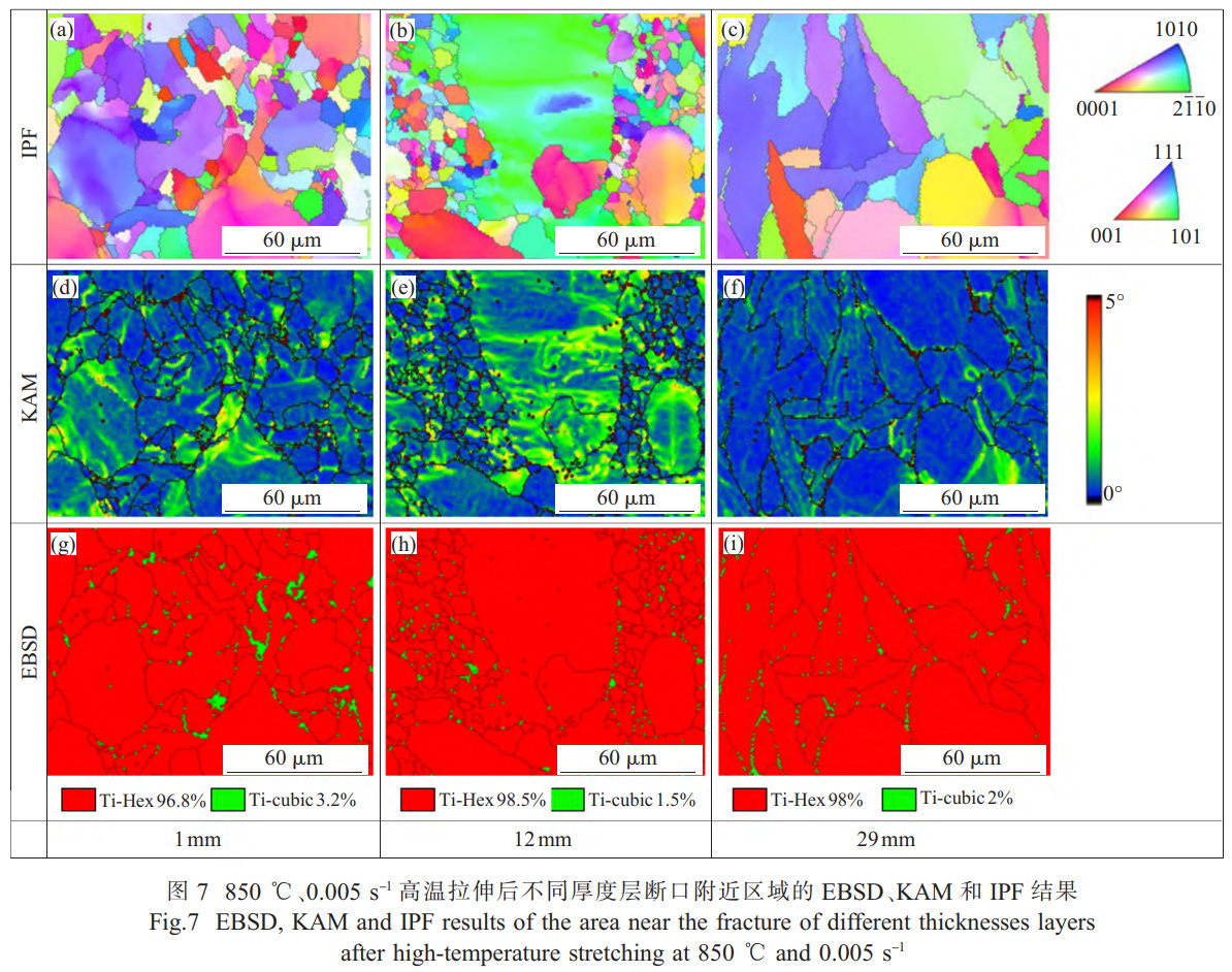 面向船舶大型殼體件的TC4鈦合金厚板精密熱壓成形技術(shù)研究——解析厚向組織不均勻性對(duì)成形性能的影響，通過應(yīng)力松弛-回彈耦合模擬優(yōu)化保壓參數(shù)，實(shí)現(xiàn)±2mm形狀公差的高精度成形