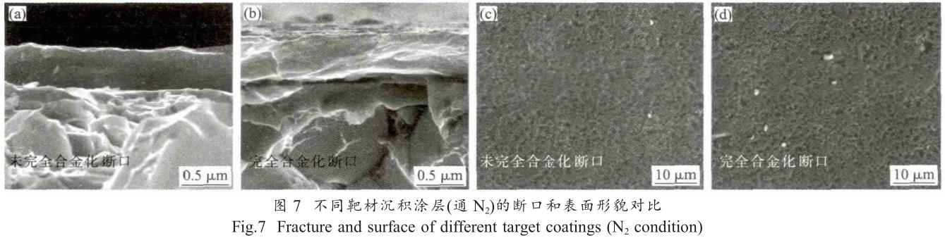 1708257953324420.jpg t7.jpg