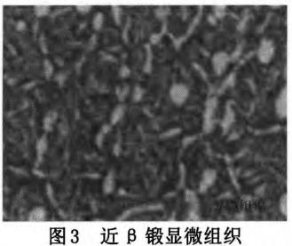 1713134678200472.jpg 360截圖16630506282620.jpg