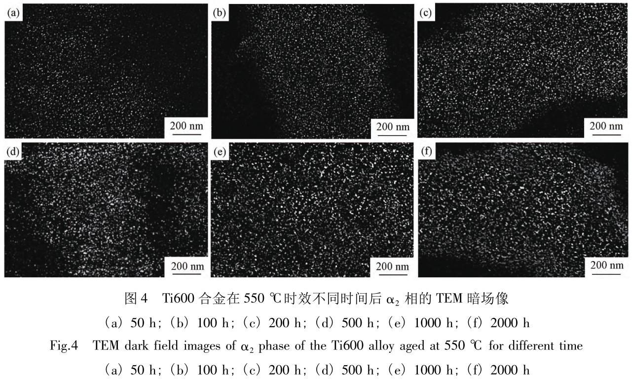 1727927747765170.jpg t4.jpg