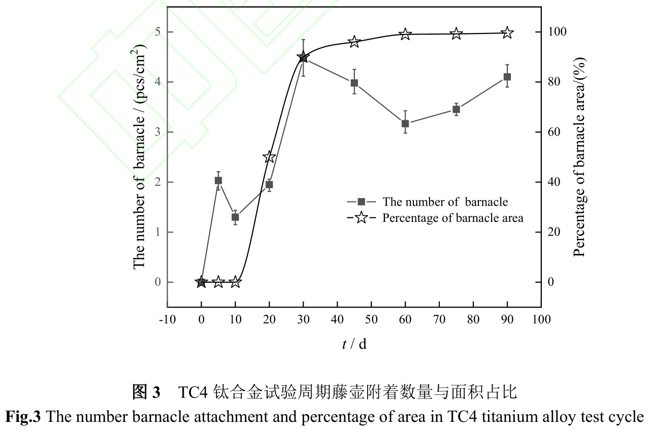 1734944876474184.jpg 3.jpg