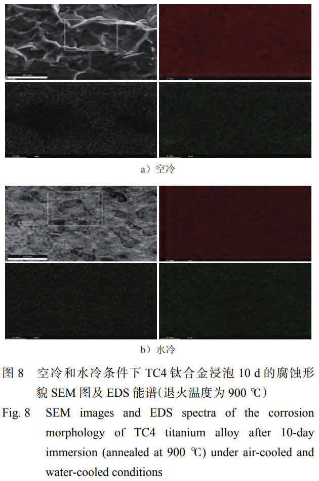 1763905539159085.jpg 未標(biāo)題-3.jpg