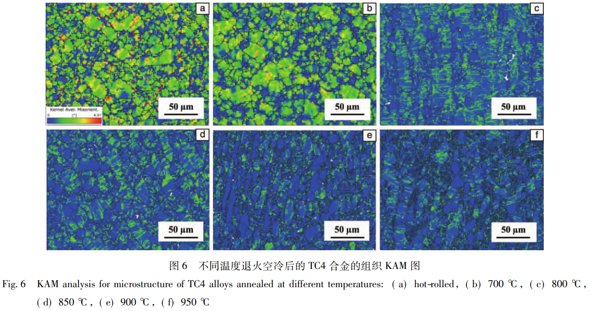1768188357701768.png 截圖20260112111754.png