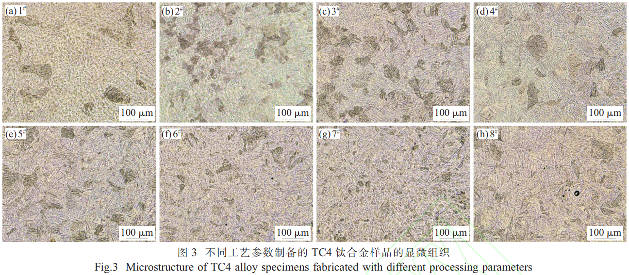 1768223084875505.png 截圖20260112205553.png