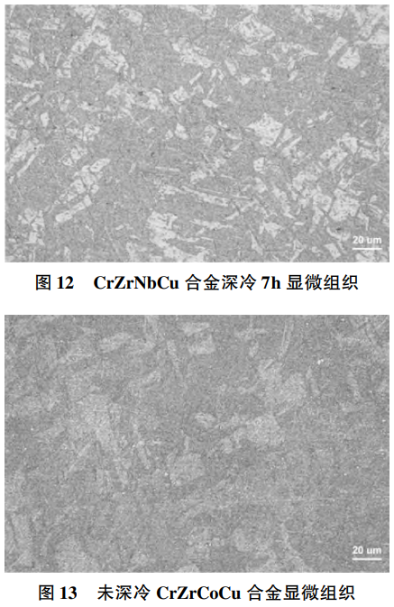 1769310923936406.png 12-13.png